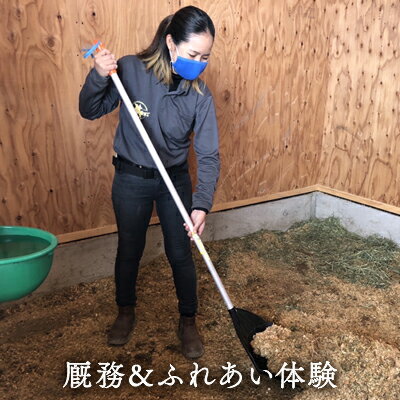 厩務&ふれあい体験 [ 体験チケット 日本在来馬 和種馬 ふれ合い ホースセラピー 動物 厩務体験 馬房の管理 クリーンアップ ]