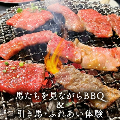 馬たちを見ながらBBQ　【 体験チケット 食事 動物 日本在来馬 和種馬 ドリンク付き のんびり 癒し 】