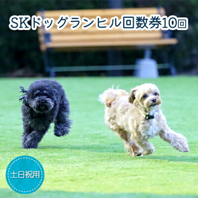 SKドッグランヒル回数券10回分(土日祝用)　【 チケット 最大級 広い 人工芝 ドッグラン 小型犬 大型犬 ベンチ 給水場 シャワー カフェ 】