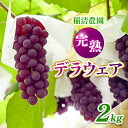 18位! 口コミ数「0件」評価「0」《令和6年度産先行予約》稲清農園の「こだわり」がぎゅっと詰まった完熟デラウェア2kg [令和6年6月中旬より7月下旬頃お届け]　【柏原市】　･･･ 