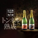 【ふるさと納税】トンネル熟成ワイン 750ml2本 セット(化粧箱入り)