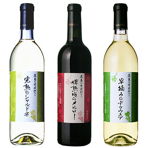 【ふるさと納税】No.696 飛鳥の秀逸畑シリーズ（3本入り） ／ お酒 赤ワイン 白ワイン 辛口 甘口 ぶどう デラウェア シャルドネ ミディアムボディ 飲み比べ 送料無料 大阪府のサムネイル