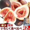 【ふるさと納税】【先行予約】いちじく 朝採り完熟 稀少いちじく食べ比べセット 計12玉 2023年9月野菜ソムリエサミット金賞受賞 ハッピーファーム《8月下旬-...
