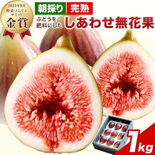 【ふるさと納税】【先行予約】いちじく 朝採り完熟 ぶどうを肥料にした しあわせ無花果 約1kg 2023年9月野菜ソムリエサミット金賞受賞 ハッピーファーム《8月中旬-10月上旬頃出荷》大阪府 羽曳野市 送料無料 いちじく 無花果 果物 フルーツ 樹上完熟 【ふるさと納税】【先行予約】いちじく 朝採り完熟 ぶどうを肥料にした しあわせ無花果 約1kg 2023年9月野菜ソムリエサミット金賞受賞 ハッピーファーム《8月中旬-10月上旬頃出荷》大阪府 羽曳野市 送料無料 いちじく 無花果 果物 フルーツ 樹上完熟