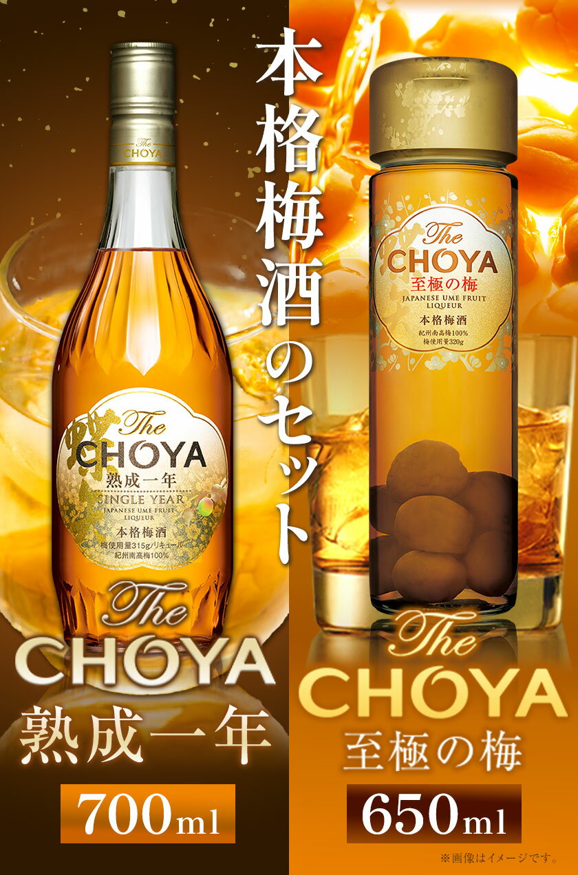 【ふるさと納税】The CHOYA 熟成一年 700ml The CHOYA 至極の梅 650ml 計2本 セット 飲み比べ 羽曳野商工振興株式会社《30日以内に出荷予定(土日祝除く)》大阪府 羽曳野市 送料無料 梅酒 梅 酒 CHOYA チョーヤ チョーヤ梅酒 お酒 紀州 南高梅