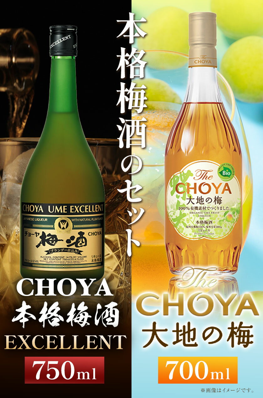 【ふるさと納税】THE CHOYA 大地の梅 700ml EXCELLENT エクセレント 750ml 計2本 セット 飲み比べ 羽曳野商工振興株式会社《30日以内に出荷予定(土日祝除く)》大阪府 羽曳野市 送料無料 梅酒 梅 酒 CHOYA チョーヤ チョーヤ梅酒 お酒 紀州 南高梅