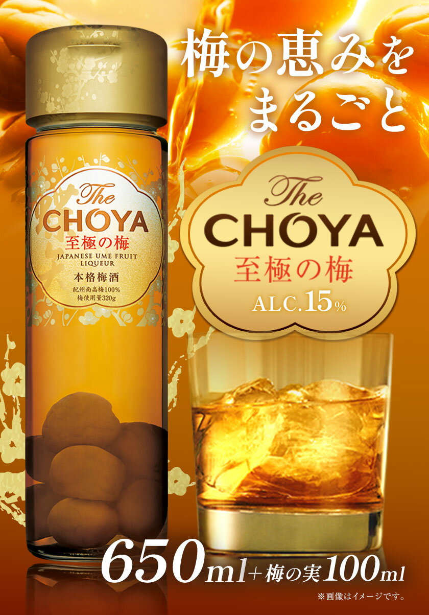 【ふるさと納税】The CHOYA 至極の梅 650ml × 2本 羽曳野商工振興株式会社《30日以内に出荷予定(土日祝除く)》大阪府 羽曳野市 送料無料 梅酒 梅 酒 CHOYA チョーヤ チョーヤ梅酒 お酒 紀州 南高梅