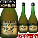 yӂ邳Ɣ[ŁzCHOYA {i~ EXCELLENT GNZg 750ml ~ 2{ Hg쏤HUЁs30ȓɏoח\(yj)t{ Hgs  ~ ~  CHOYA `[ `[~  IB 썂~