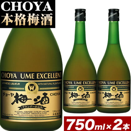 CHOYA 本格梅酒 EXCELLENT エクセレント 750ml × 2本 羽曳野商工振興株式会社《30日以内に出荷予定(土日祝除く)》大阪府 羽曳野市 送料無料 梅酒 梅 酒 CHOYA チョーヤ チョーヤ梅酒 お酒 紀州 南高梅