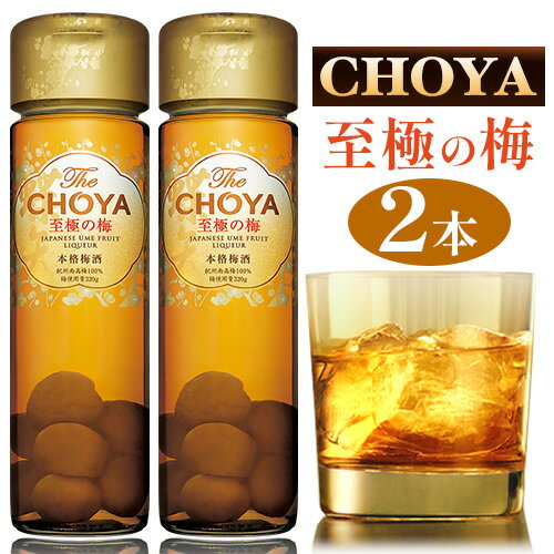 The CHOYA 至極の梅 650ml × 2本 羽曳野商工振興株式会社[30日以内に出荷予定(土日祝除く)]大阪府 羽曳野市 送料無料 梅酒 梅 酒 CHOYA チョーヤ チョーヤ梅酒 お酒 紀州 南高梅