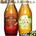 14位! 口コミ数「0件」評価「0」THE CHOYA 熟成三年 大地の梅 各 700ml × 2本 セット 飲み比べ 羽曳野商工振興株式会社《30日以内に出荷予定(土日祝除く･･･ 