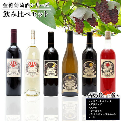 【ふるさと納税】金徳葡萄酒 飲み比べセット マスカットベリーA デラウエア メルロ シャルドネ カベルネソーヴィニヨン ロゼ 各750ml×1本 計6本 株式会...