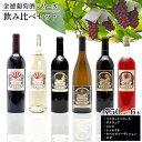 【ふるさと納税】金徳葡萄酒 飲み比べセット マスカットベリーA デラウエア メルロ シャルドネ カベルネソーヴィニヨン ロゼ 各750ml×1本 計6本 株式会社河内ワイン《30日以内に出荷予定(土日祝除く)》大阪府 羽曳野市 ワイン 酒 アルコール 送料無料