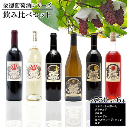 金徳葡萄酒 飲み比べセット マスカットベリーA デラウエア メルロ シャルドネ カベルネソーヴィニヨン ロゼ 各750ml×1本 計6本 株式会社河内ワイン《30日以内に出荷予定(土日祝除く)》大阪府 羽曳野市 ワイン 酒 アルコール 送料無料