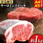 ڤդ뤵Ǽǡ۹µ 󥹥ơ A4A5 1kg 250g4  Ź90˽вͽ(˽)  ̵    µ  ơ 