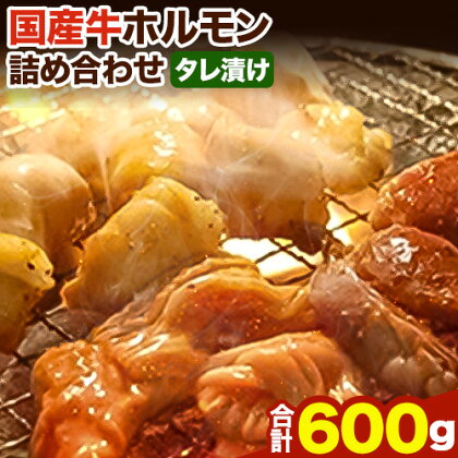 ホルモン 国産牛 ホルモン 詰め合わせ 約600g 萬野総本店《30日以内に出荷予定(土日祝除く)》大阪府 羽曳野市 牛肉 国産牛 小腸 アカセン アカセンマイ ミノ ココロ 心臓 焼肉 詰め合わせ セット【離島配送不可】