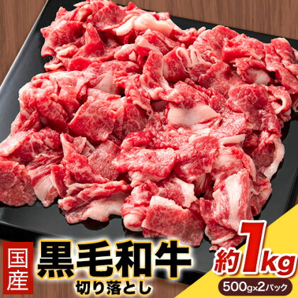 国産黒毛和牛切り落とし 約1kg(500g×2) 株式会社WiN《30日以内に出荷予定(土日祝除く)》大阪府 羽曳野市 送料無料 黒毛和牛 和牛 牛肉 牛 国産 切り落とし