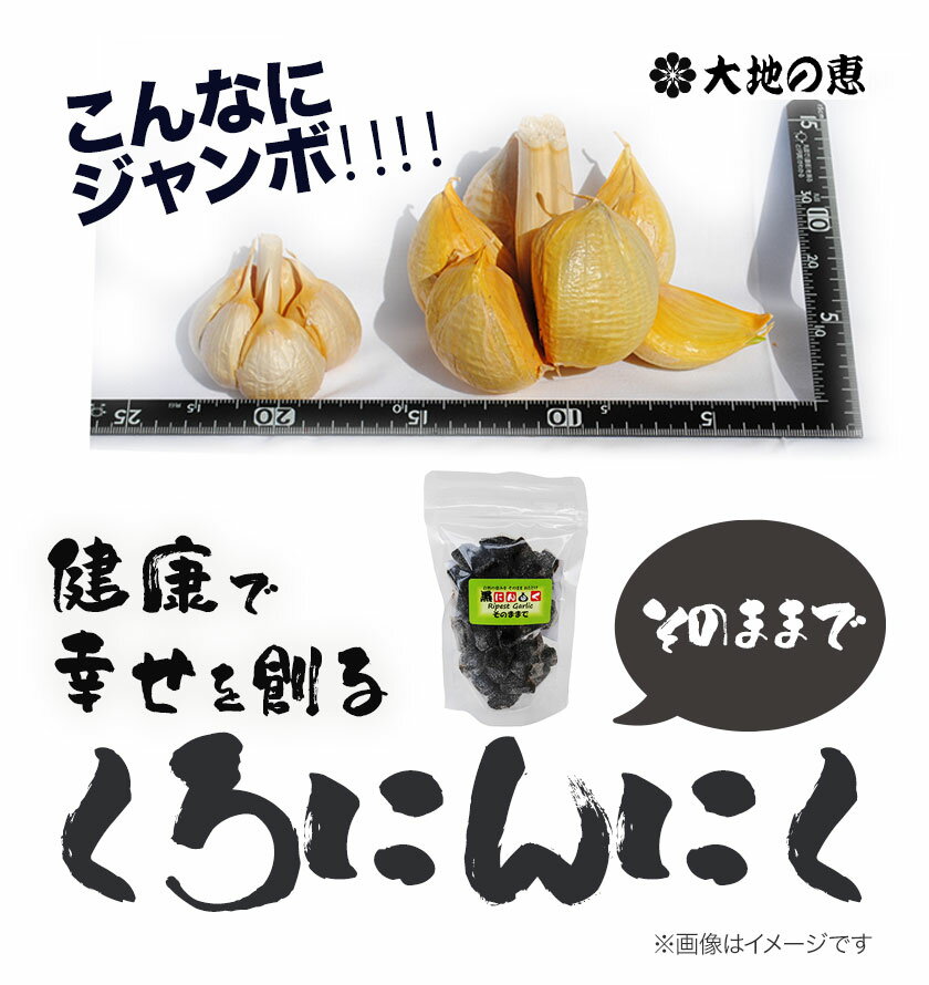 【ふるさと納税】くろにんにく(そのままで) 選べる 300g or 500g《30日以内に出荷予定(土日祝除く)》大阪府 羽曳野市 ニンニク 黒ニンニク じゃんぼ大蒜 大蒜 健康 スタミナ