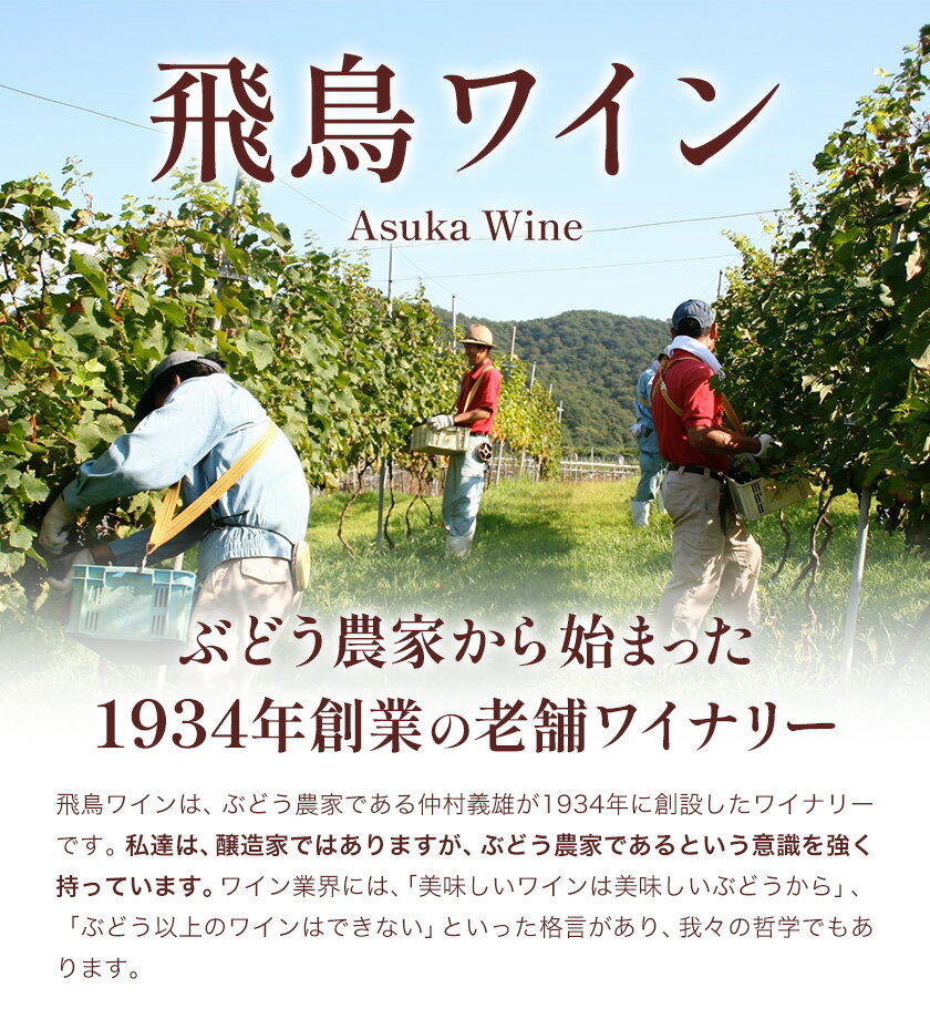 【ふるさと納税】いちじくワイン 720ml 1本 (株)飛鳥ワイン《30日以内に出荷予定(土日祝除く)》大阪府 羽曳野市 アルコール ワイン 酒 いちじく 果物 フルーツ 甘口 3