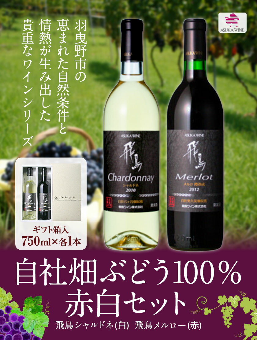 【ふるさと納税】自社畑ぶどう100%赤白セット 750ml×2本 シャルドネ メルロー (株)飛鳥ワイン《30日以内に出荷予定(土日祝除く)》大阪府 羽曳野市 飛鳥ワイン 秀逸畑シリーズ アルコール ワイン 白ワイン 赤ワイン 酒 セット