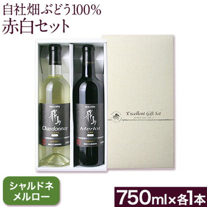 自社畑ぶどう100%赤白セット 750ml×2本 シャルドネ メルロー (株)飛鳥ワイン《30日以内に出荷予定(土日祝除く)》大阪府 羽曳野市 飛鳥ワイン 秀逸畑シリーズ アルコール ワイン 白ワイン 赤ワイン 酒 セット