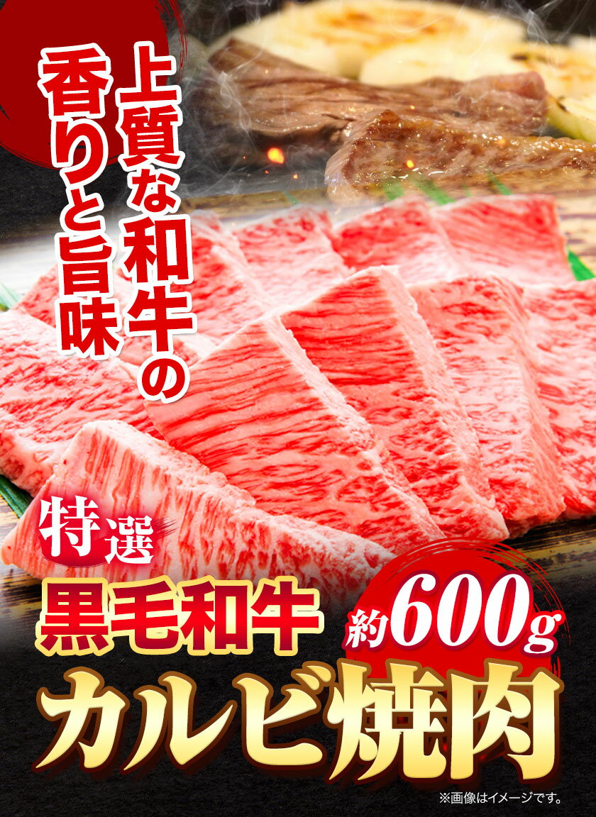 【ふるさと納税】黒毛和牛 特選 カルビ 焼肉 約600g エムエスエイ (株)《30日以内に出荷予定(土日祝除く)》大阪府 羽曳野市 送料無料 牛肉 牛 和牛 焼き肉用 焼き肉