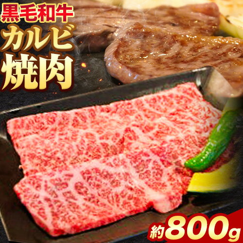 18位! 口コミ数「0件」評価「0」黒毛和牛 カルビ 焼肉 約800g エムエスエイ (株)《30日以内に出荷予定(土日祝除く)》大阪府 羽曳野市 送料無料 牛肉 牛 和牛 焼･･･ 