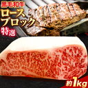 【ふるさと納税】黒毛和牛 ロース ブロック 特選 約1kg エムエスエイ 株 《30日以内に出荷予定 土日祝除く 》大阪府 羽曳野市 送料無料 牛肉 牛 和牛 ブロック肉 ステーキ