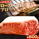 【ふるさと納税】黒毛和牛 ロース ブロック 約600g エムエスエイ 株 《30日以内に出荷予定 土日祝除く 》大阪府 羽曳野市 送料無料 牛肉 牛 和牛 ブロック肉 ステーキ