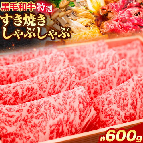 黒毛和牛 特選 すき焼き しゃぶしゃぶ スライス 約600g エムエスエイ (株)[30日以内に出荷予定(土日祝除く)]大阪府 羽曳野市 送料無料 牛肉 牛 和牛すき焼き用 しゃぶしゃぶ用 肩ロース ロース