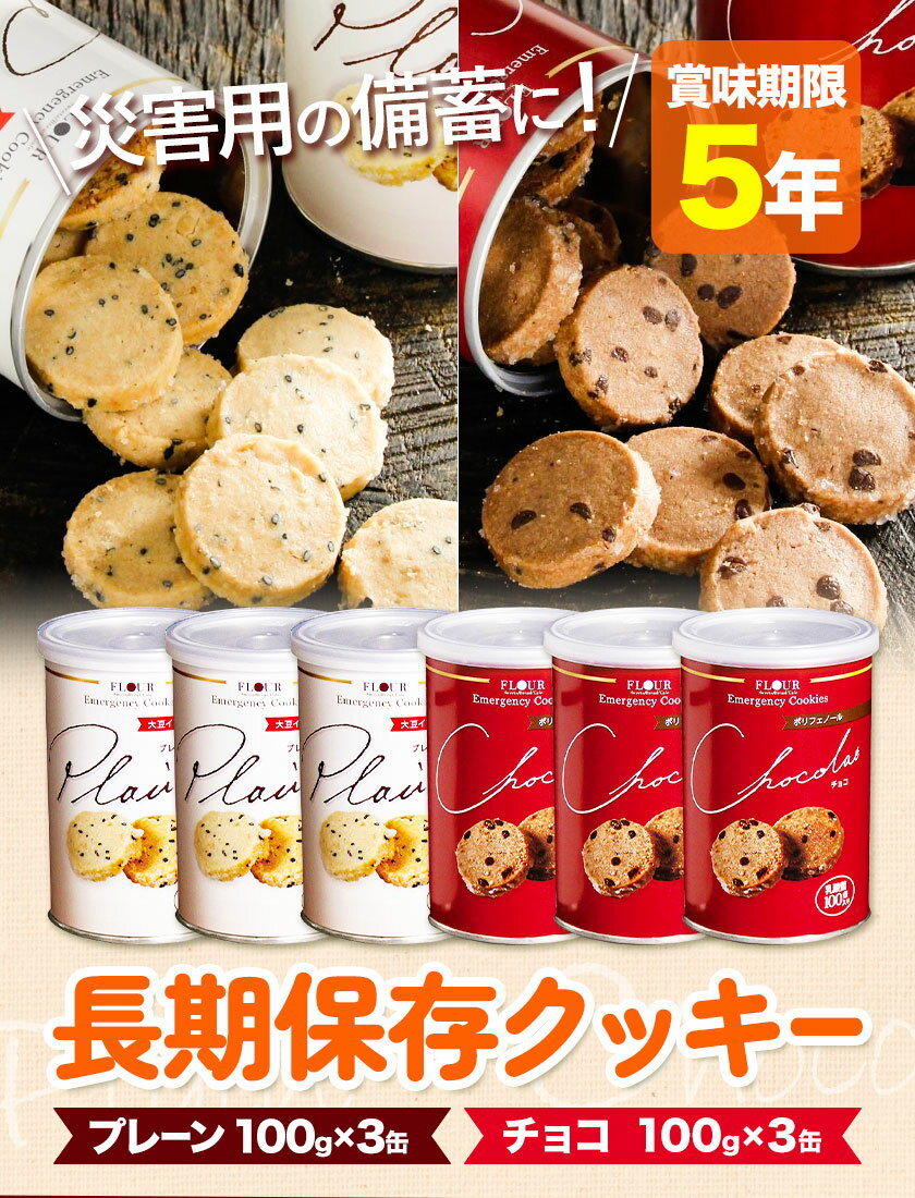 【ふるさと納税】非常食 長期保存 クッキー プレーン チョコ 各100g × 6缶 株式会社フラワー《30日以内に出荷予定(土日祝除く)》大阪府 羽曳野市 災害用 防災 お菓子 スイーツ プレーン チョコ 賞味期限 5年【配送不可地域あり】