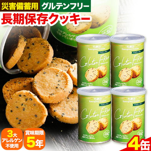 51位! 口コミ数「0件」評価「0」非常食 長期保存 クッキー グルテンフリー 100g × 4缶 株式会社フラワー《30日以内に出荷予定(土日祝除く)》大阪府 羽曳野市 災害･･･ 