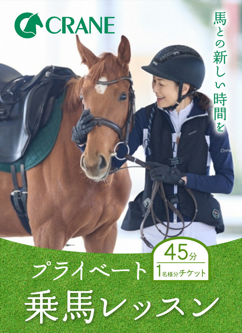 【ふるさと納税】馬 プライベート 乗馬 レッスン 45分 チケット 1名様分 乗馬クラブクレイン大阪《30日以内に出荷予定(土日祝除く)》大阪府 羽曳野市 チケット スポーツ 体験 レジャー 打 プレー券 施設利用券 競馬