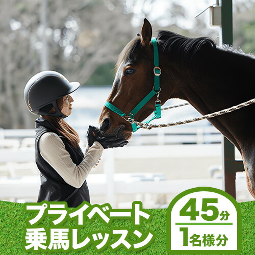 馬 プライベート 乗馬 レッスン 45分 チケット 1名様分 乗馬クラブクレイン大阪[30日以内に出荷予定(土日祝除く)]大阪府 羽曳野市 チケット スポーツ 体験 レジャー 打 プレー券 施設利用券 競馬