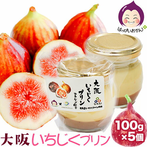 1位! 口コミ数「0件」評価「0」 大阪いちじくプリン 100g×5個入り はっぴいおかん《30日以内に出荷予定(土日祝除く)》大阪府 羽曳野市 お菓子 スイーツ おやつ プ･･･ 