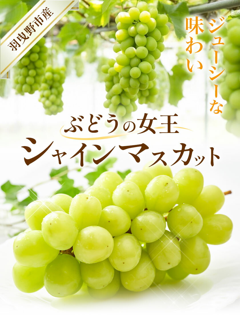 お中元　ギフト　宮崎県西都市産西都マンゴー（220_25夏）