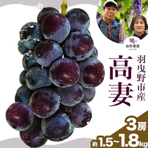【ふるさと納税】【先行予約】高妻 (種なしぶどう) 約1.5~1.8kg (3房) 麻野農園《8月上旬-9月上旬頃出荷》大阪府 羽曳野市 ぶどう 果物 フルーツ 葡萄