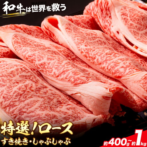 【ふるさと納税】特選 黒毛和牛 ロース すき焼き しゃぶしゃぶ 選べる内容量 約400g 約800g 約1kg 株式会社Demi Enterprise《30日以内に出荷予定(土日祝除く)》大阪府 羽曳野市 送料無料 牛肉 牛 和牛 ロース 【ふるさと納税】特選 黒毛和牛 ロース すき焼き しゃぶしゃぶ 選べる内容量 約400g 約800g 約1kg 株式会社Demi Enterprise《30日以内に出荷予定(土日祝除く)》大阪府 羽曳野市 送料無料 牛肉 牛 和牛 ロース