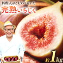 【ふるさと納税】【先行予約】料理人がこだわりぬいた 完熟いちじく1箱 約1kg / 無花果 イチジク 桝井ドーフィン はびいち農園《2025年8月上旬-10月中...