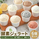 【ふるさと納税】酵素ジェラート 6個セット じぇらてりーあゆずりは《30日以内に出荷予定(土日祝除く)》大阪府 羽曳野市 ジェラート 発酵果実使用 酵素 アイス...
