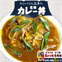 【ふるさと納税】《寄付額見直しました!!》名物カレー丼 お試し規格 2食入り(まろやか脂かす味、ピリ辛牛肉味) たらいうどん喜多八《30日以内に出荷予定(土日祝除く)》大阪府 羽曳野市 送料無料 カレー 丼 牛肉 脂かす 喜多八
