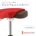 【ふるさと納税】<カラーをお選びください>バランスシナジー専用プレミアムニットカバー ラウンドシート用 はっ水加工【 バランスシナジー カバー 大阪府 門真市 】