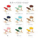 【ふるさと納税】<カラーをお選びください>バランスイージー専用プレミアムニットカバーnew はっ水加工【 バランスイージー カバー 大阪府 門真市 】