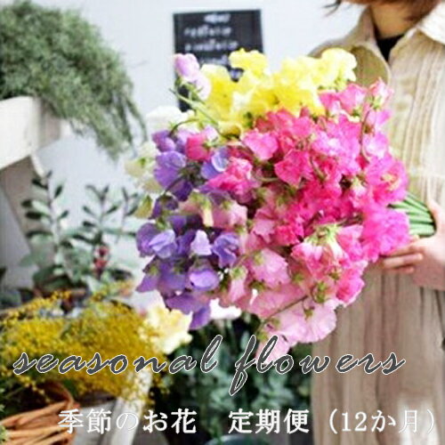 【ふるさと納税】　季節のお花　定期便（12か月）【季節　お花 一年間　毎月季節　切り花　ご自宅、職場　明るく華やか　お花パワー　季節のご挨拶に　お手入れ説明書　延命剤付　 大阪府 門真市 】