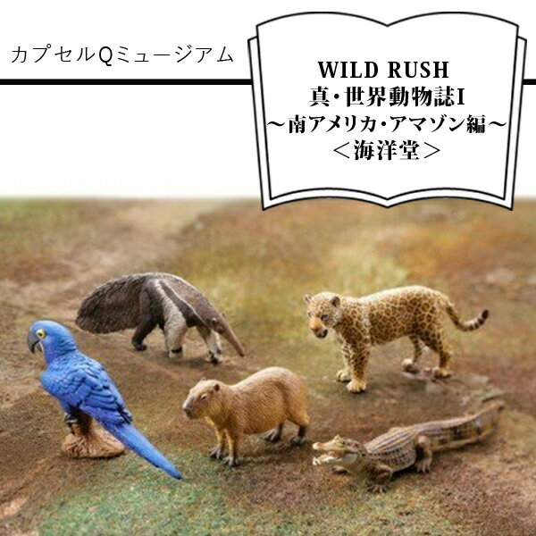 カプセルQミュージアム WILD RUSH 真・世界動物誌〜南アメリカ・アマゾン編〜[海洋堂][カプセルQミュージアム WILD RUSH 真・世界動物誌 南アメリカ・アマゾン編 海洋堂 ガチャガチャ 動物 大阪府 門真市 ]