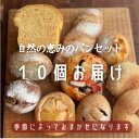 【ふるさと納税】【10個入り】パン屋kotubuの自然の恵みのパンセット(小)_ パン 自家製天然酵母 天然酵母 10個 セット 詰め合わせ おまかせ 食べ比べ ぱん 朝食 朝 ランチ 昼 おやつ 大阪府 冷凍 冷凍パン 送料無料 【配送不可地域:離島】【1352129】