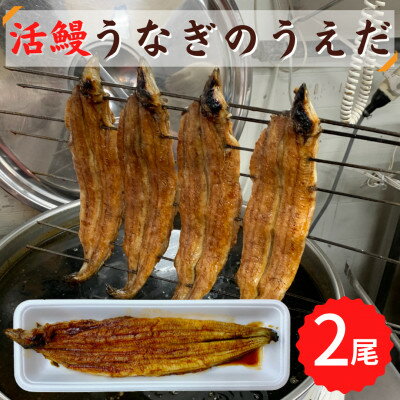 【ふるさと納税】【2尾】活鰻 おいしいうな丼が作れる国産うなぎ蒲焼2本(タレ2ヶ入)【配送不可地域:離島】【1376345】