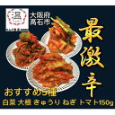 【ふるさと納税】キムチ屋温の食べ比べキムチ5種(白菜、大根、きゅうり、ねぎ、トマト各150g)【配送不可地域:離島】【1440688】