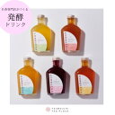 5位! 口コミ数「0件」評価「0」お茶の発酵飲料　KOMBUCHA(コンブチャ)飲み比べセット【1457515】