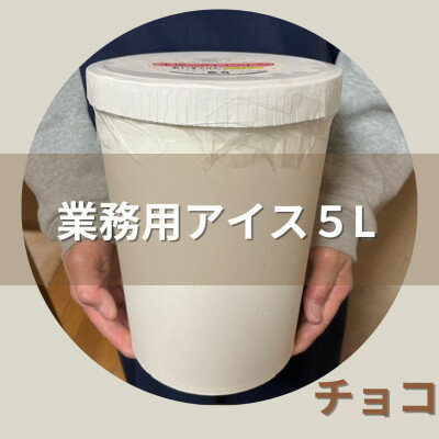 【5Lカップ】あいすくりん チョコ　ホームサイズ・業務用【配送不可地域：離島】【1469225】